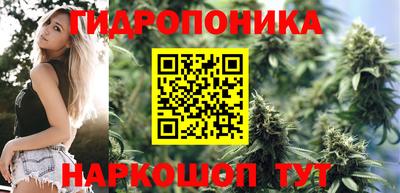 винт Аша