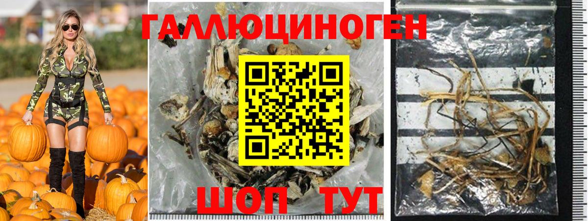 Псилоцибиновые грибы мухоморы Грозный
