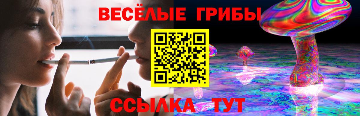 Галлюциногенные грибы Magic Shrooms  Вход с VPN  Грозный 