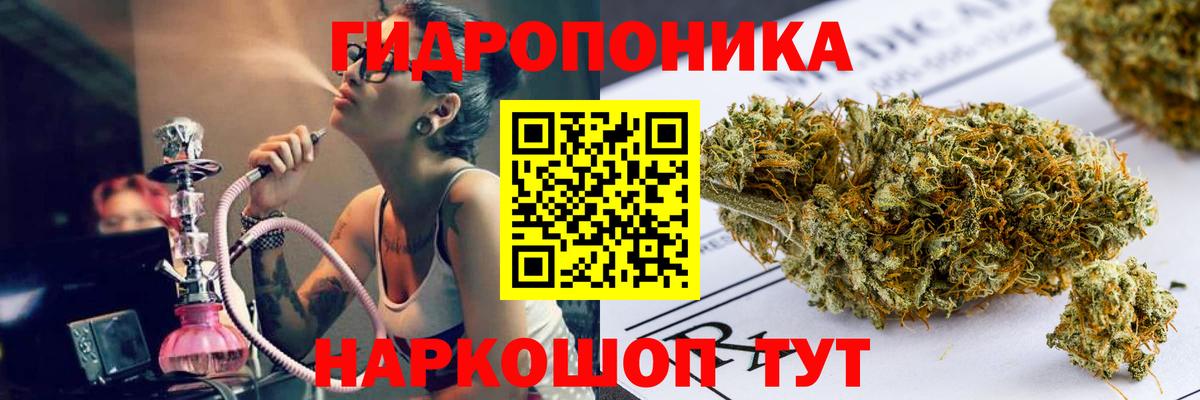 Бошки Шишки сатива  Вход с VPN  Каннабис VHQ  Марихуана планчик  Грозный 